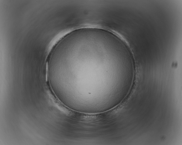 X0000111211223200907151430