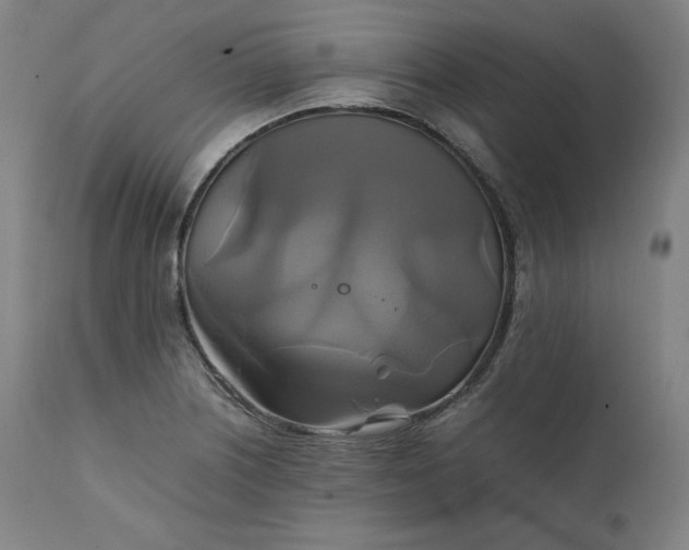 X0000111211226200907151430