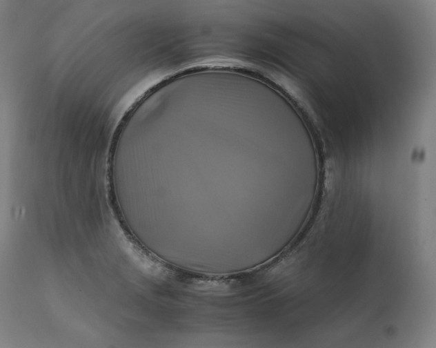 X0000111211229200907151430