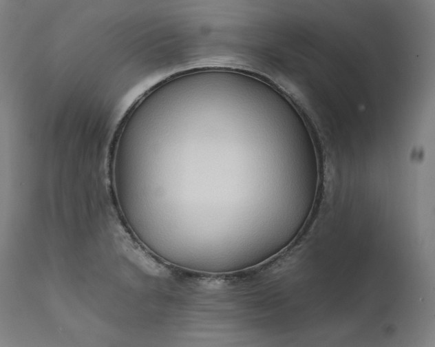 X0000111211230200907151430