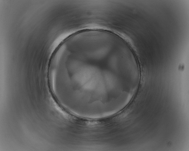 X0000111211231200907151430