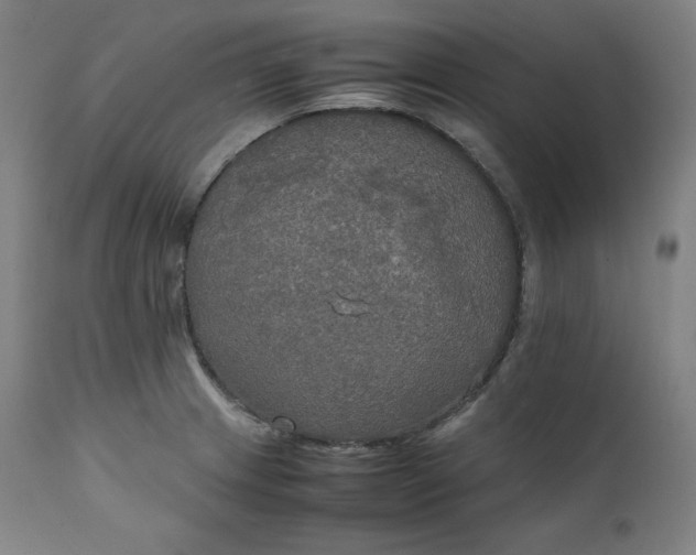 X0000111211233200907151430