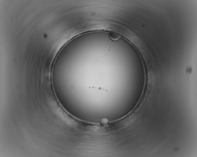 X0000111211234200907151430