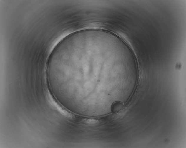 X0000111211235200907151430