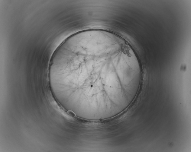 X0000111211236200907151430