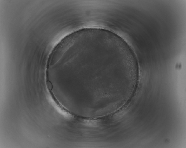 X0000111211237200907151430