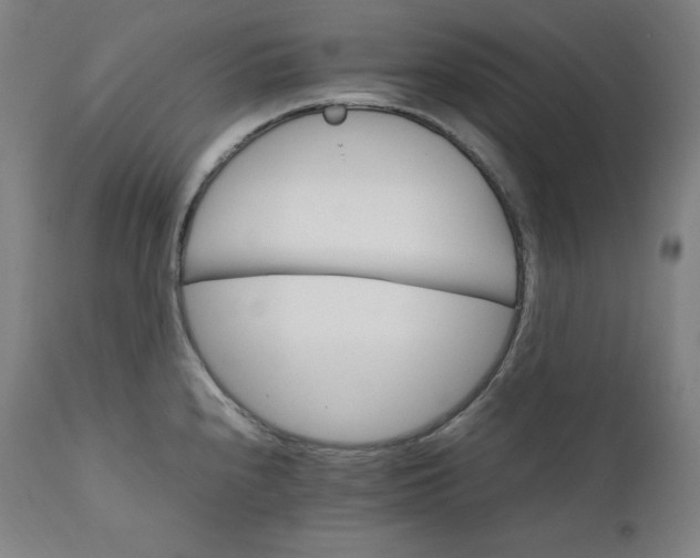 X0000111211240200907151430