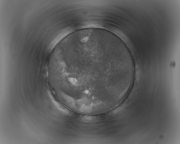 X0000111211241200907151430