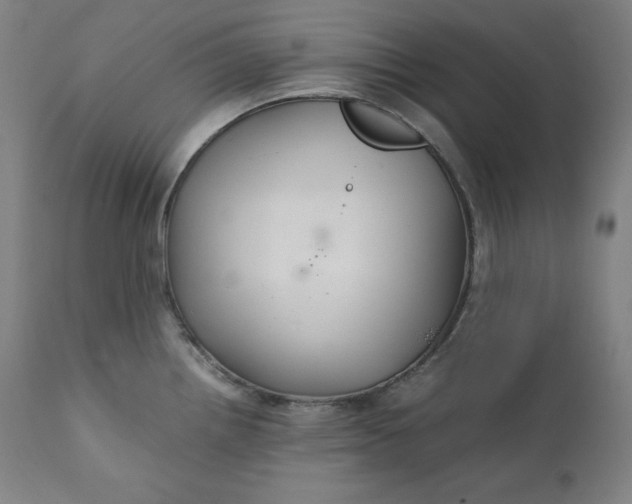 X0000111211242200907151430