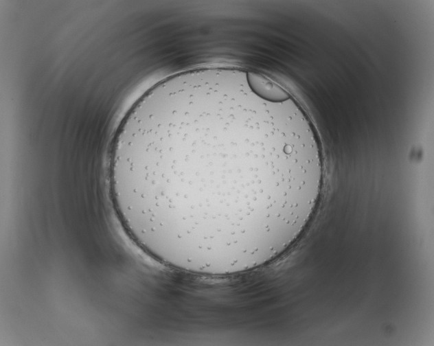 X0000111211243200907151430