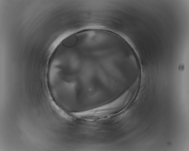 X0000111211245200907151430