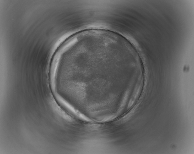 X0000111211248200907151430