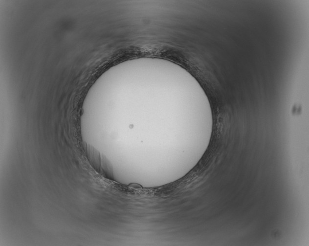 X0000111211249200907151429