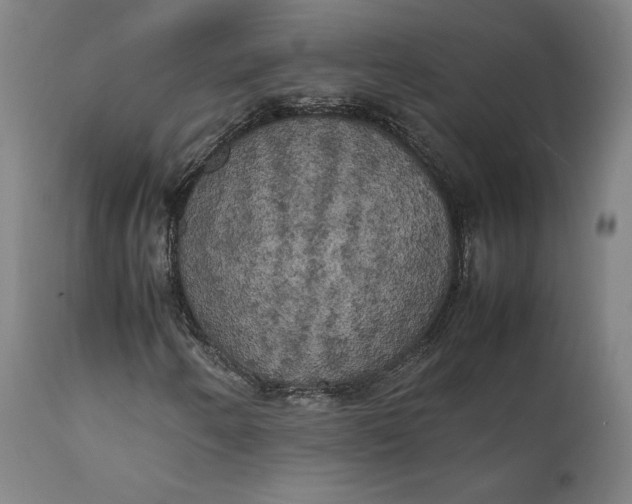 X0000111211250200907151429