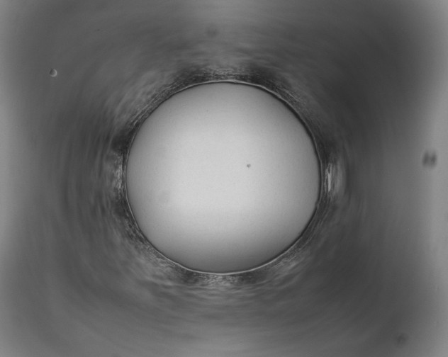 X0000111211251200907151429