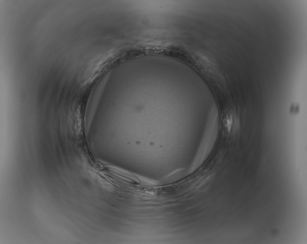 X0000111211252200907151429