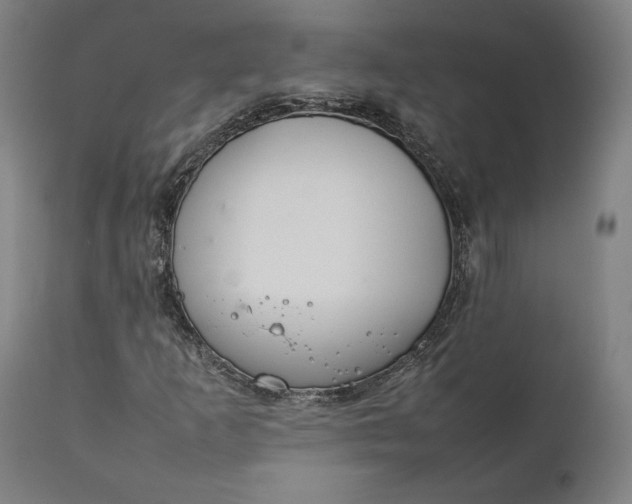 X0000111211253200907151429