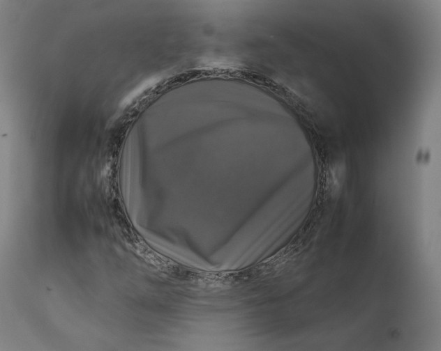 X0000111211254200907151429