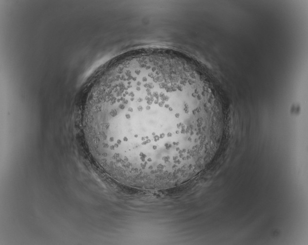 X0000111211255200907151429