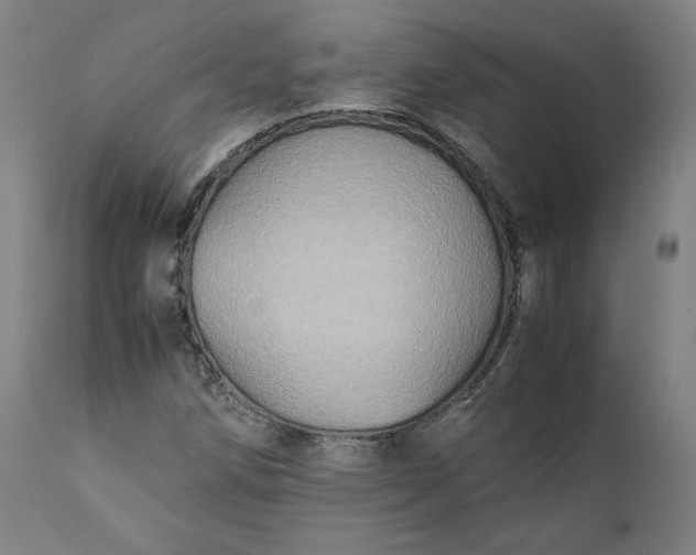 X0000111211258200907151429