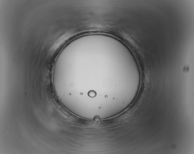 X0000111211259200907151429