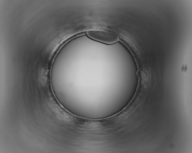 X0000111211260200907151429