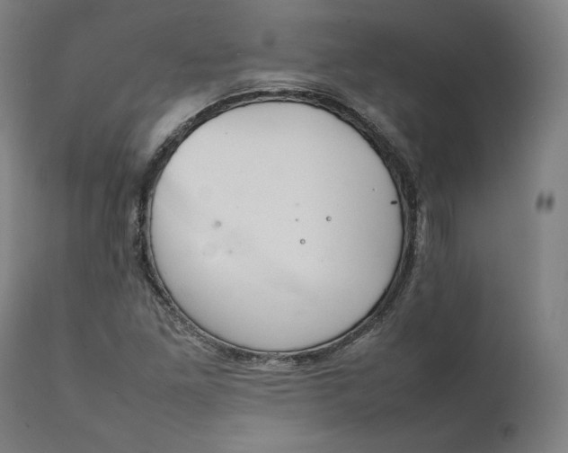 X0000111211261200907151429