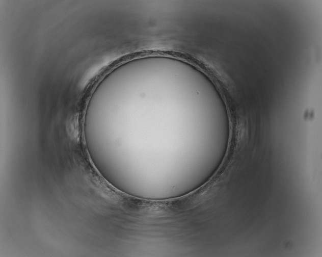 X0000111211262200907151429