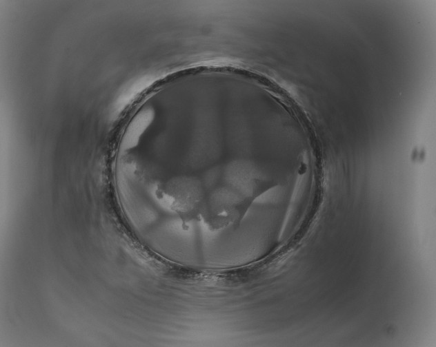 X0000111211263200907151429