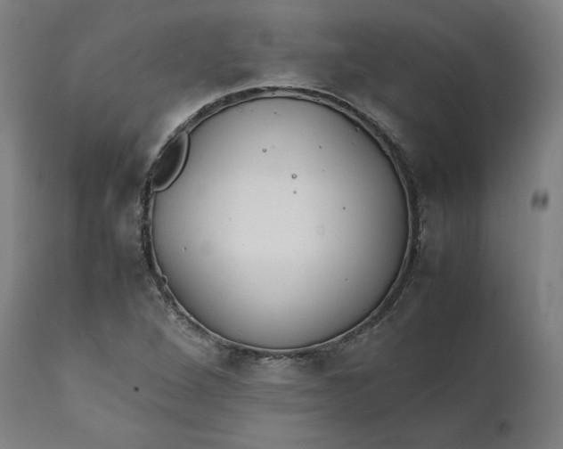 X0000111211264200907151429