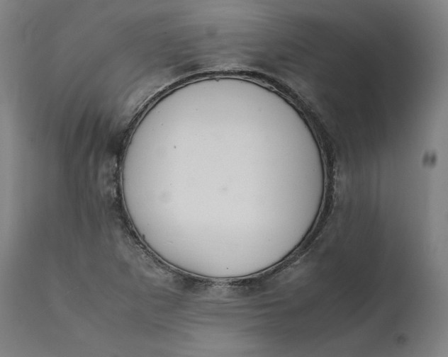 X0000111211265200907151429