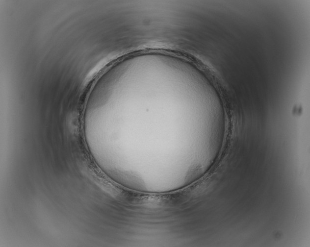 X0000111211266200907151429