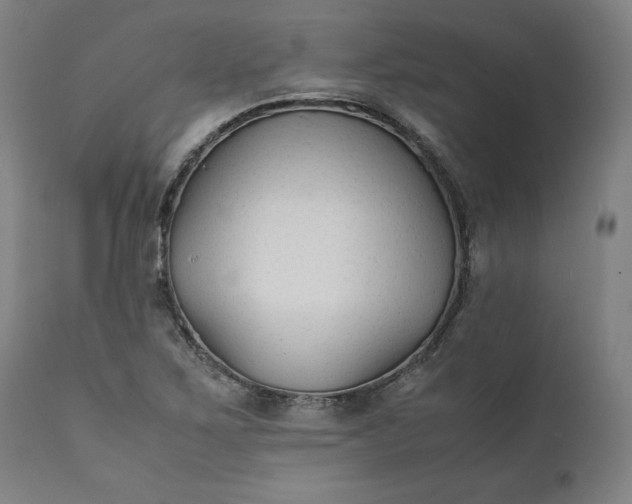 X0000111211267200907151429