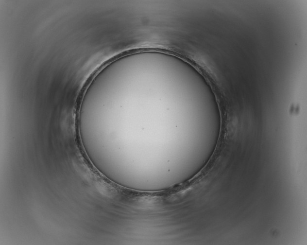 X0000111211268200907151429