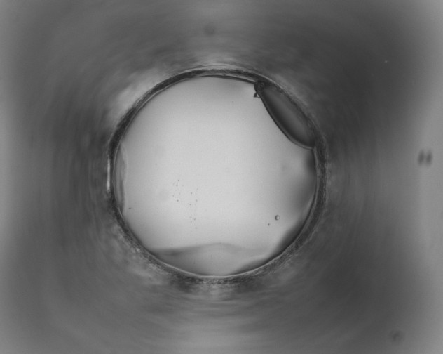 X0000111211269200907151429