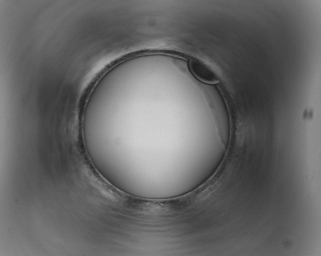 X0000111211270200907151429