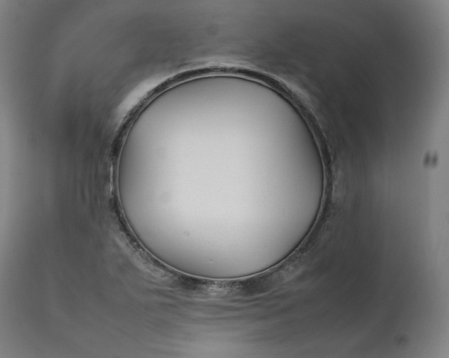 X0000111211271200907151429