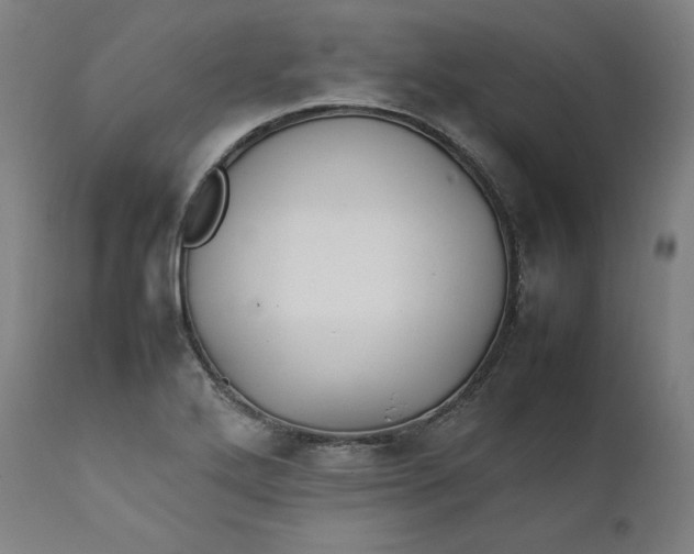 X0000111211272200907151429