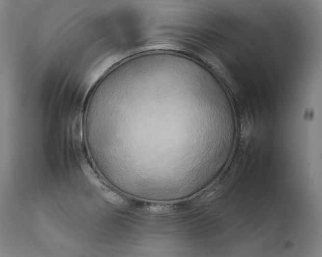 X0000111211274200907151429