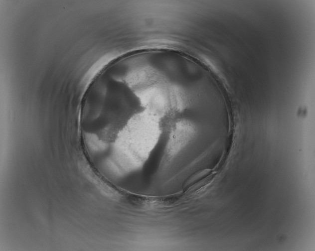 X0000111211275200907151429