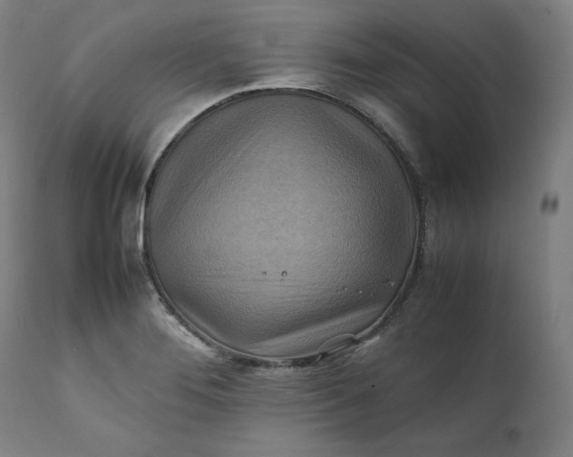 X0000111211276200907151429