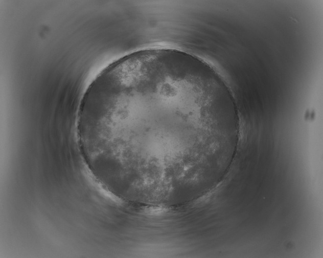 X0000111211278200907151429