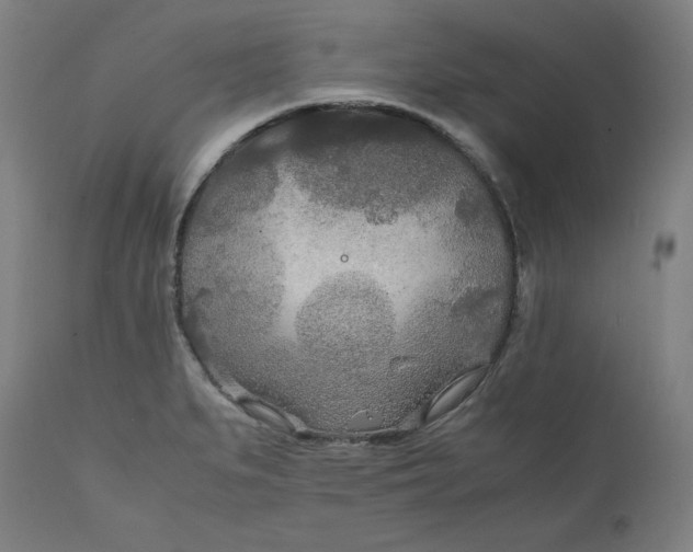 X0000111211279200907151429