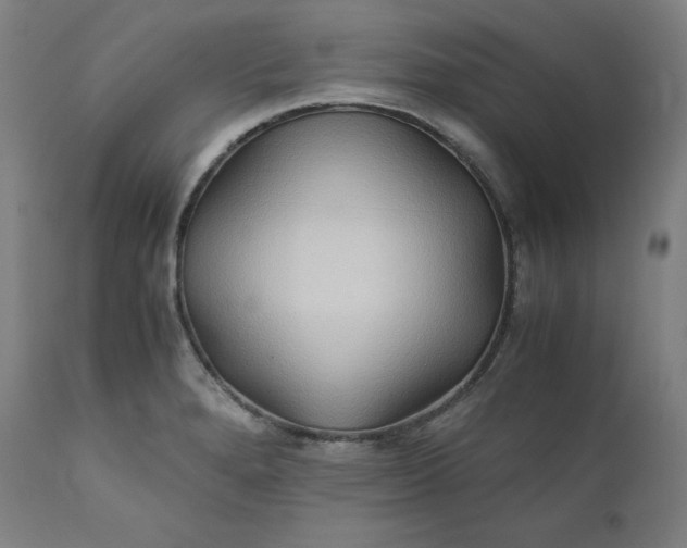 X0000111211280200907151429