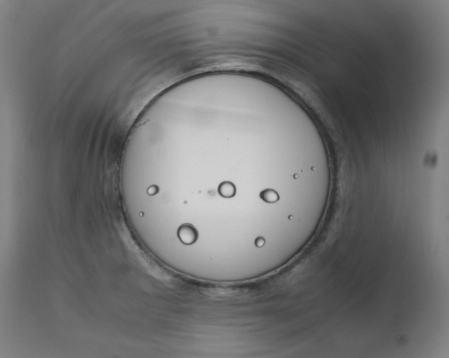 X0000111211281200907151429