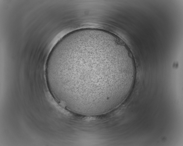 X0000111211283200907151429