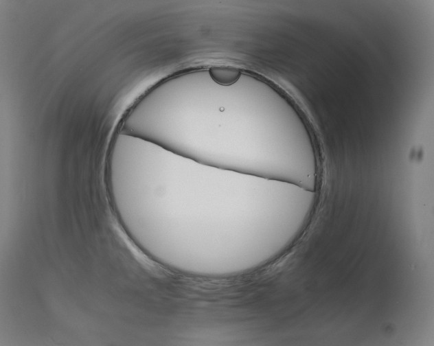 X0000111211285200907151429