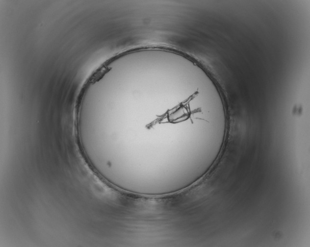 X0000111211286200907151429