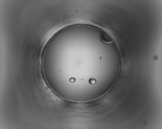 X0000111211287200907151429