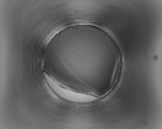 X0000111211289200907151429